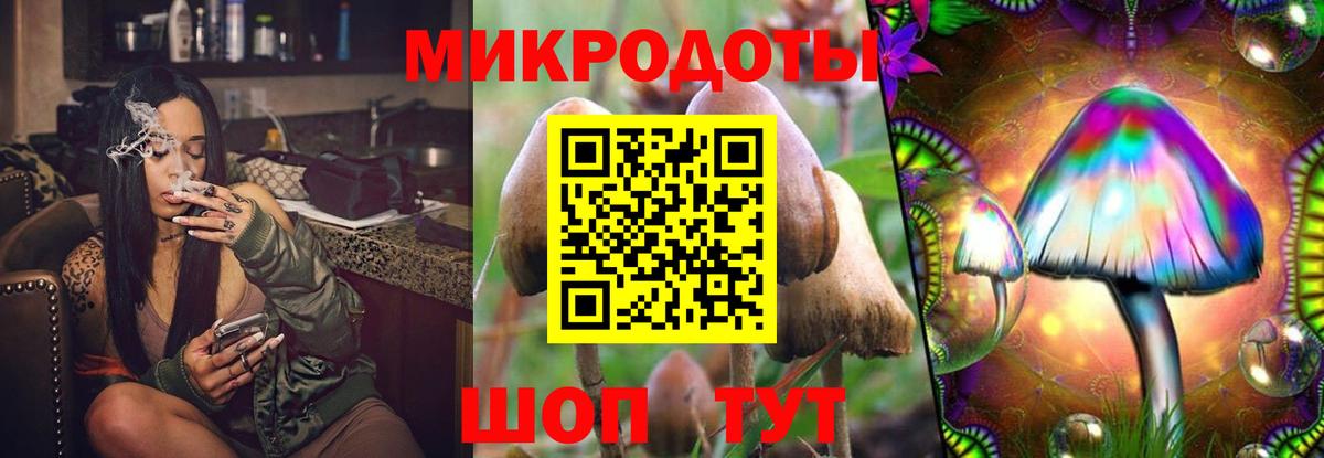Псилоцибиновые грибы Psilocybe  Вход с VPN  Гулькевичи  Галлюциногенные грибы мухоморы 